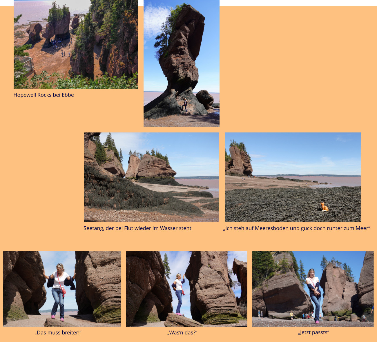 Hopewell Rocks bei Ebbe Seetang, der bei Flut wieder im Wasser steht „Ich steh auf Meeresboden und guck doch runter zum Meer“ „Das muss breiter!“ „Was‘n das?“ „Jetzt passts“