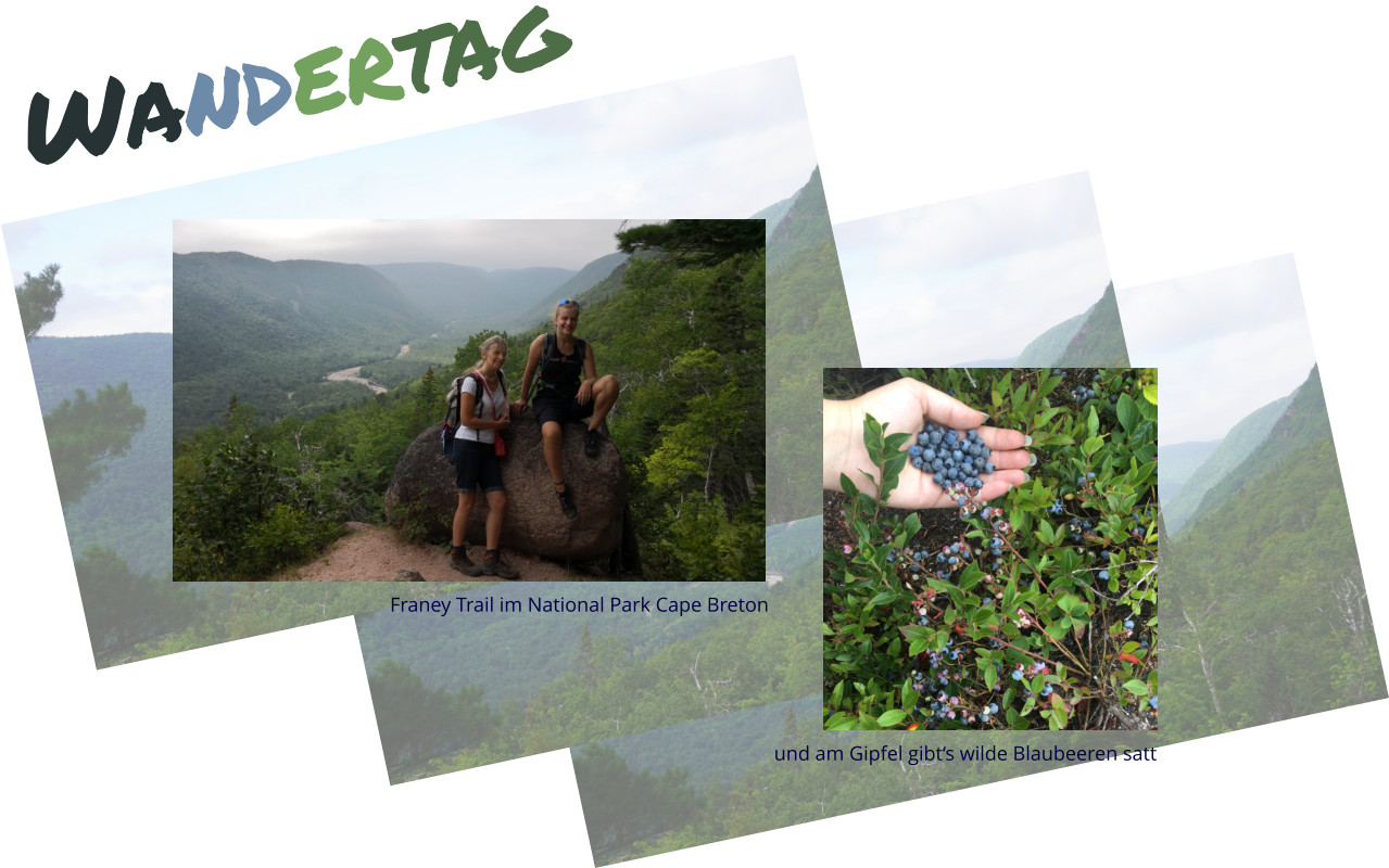 Wandertag Franey Trail im National Park Cape Breton und am Gipfel gibt‘s wilde Blaubeeren satt