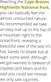 Reaching the Cape Breton Highlands National Park, you can basically feel the almost untouched nature. As recommended we take an easy trail up to the top of a mountain right to the oceanfront, revealing a beautiful view of the sea! It’s hot, barely no shade but at least some wind. Although we got warned to beware of coyotes and bears and it’s said you could see moose, we only saw squirrels.