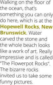 Walking on the floor of the ocean, that’s something you can only do here, which is at the Hopewell Rocks, New Brunswick. Water carved the stone and the whole beach looks like a work of art. Really impressive and is called “The Flowerpot Rocks“. The bizarre rocks invited us to take some funny pictures.