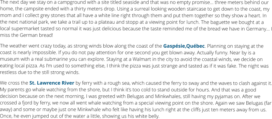 The next day we stay on a campground with a site titled seaside and that was no empty promise… three meters behind our home, the campsite ended with a thirty meters drop. Using a surreal looking wooden staircase to get down to the coast, my mom and I collect grey stones that all have a white line right through them and put them together so they show a heart. In the next national park, we take a trail up to a plateau and stopp at a viewing point for lunch. The baguette we bought at a local supermarket tasted so normal it was just delicious because the taste reminded me of the bread we have in Germany… I miss the German bread!  The weather went crazy today, as strong winds blow along the coast of the Gaspésie,Québec. Planning on staying at the coast is nearly impossible. If you do not pay attention for one second you get blown away. Actually funny. Near by is a museum with a real submarine you can explore. Staying at a Walmart in the city to avoid the coastal winds, we decide on eating local pizza. As I’m used to something else, I think the pizza was just strange and tasted as if it was fake. The night was restless due to the still strong winds. We cross the St. Lawrence River by ferry with a rough sea, which caused the ferry to sway and the waves to clash against it. My parents go whale watching from the shore, but I think it’s too cold to stand outside for hours. And that was a good decision because on the next morning, I was greeted with Belugas and Minkwhales, still having my pyjamas on. After we crossed a fjord by ferry, we now all went whale watching from a special viewing point on the shore. Again we saw Belugas (far away) and some or maybe just one Minkwhale who felt like having his lunch right at the cliffs just ten meters away from us. Once, he even jumped out of the water a little, showing us his white belly.