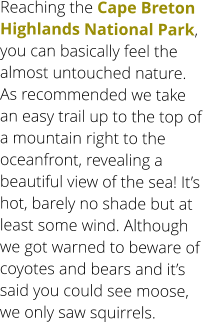 Reaching the Cape Breton Highlands National Park, you can basically feel the almost untouched nature. As recommended we take an easy trail up to the top of a mountain right to the oceanfront, revealing a beautiful view of the sea! It’s hot, barely no shade but at least some wind. Although we got warned to beware of coyotes and bears and it’s said you could see moose, we only saw squirrels.
